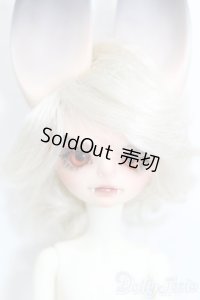 DreamValley/Aiden S-25-08-31-514-GN-ZS