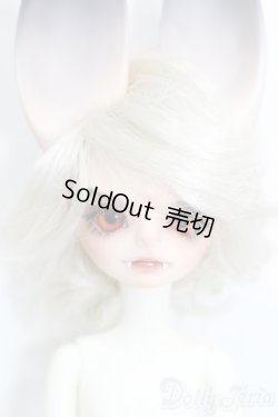 画像1: DreamValley/Aiden S-25-08-31-514-GN-ZS