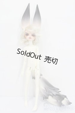 画像6: DreamValley/Aiden S-25-08-31-514-GN-ZS