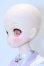 画像4: Dollce Doll/Aヘッド(DC60-01)+オビツボディ S-25-12-28-002-GN-ZS (4)