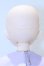 画像5: Dollce Doll/Aヘッド(DC60-01)+オビツボディ S-25-12-28-002-GN-ZS (5)