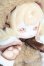 画像3: PENNY'S BOX/ANTU(アンティーユ):可愛いプチ ブラインドぬいぐるみ シリーズ S-25-05-18-025-GN-ZS