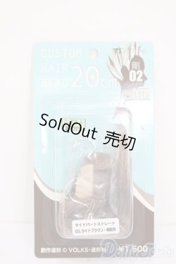 画像1: VOLKS/カスタムヘアーヘッド S-25-07-06-851-GN-ZS