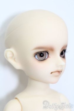 画像5: 幼SD男の子/南条勲×サイボーグ009 S-25-09-28-425-GN-ZS