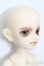 画像5: 幼SD男の子/南条勲×サイボーグ009 S-25-05-18-207-GN-ZS