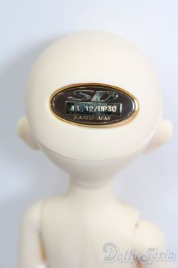 画像6: 幼SD男の子/南条勲×サイボーグ009 S-25-09-28-425-GN-ZS