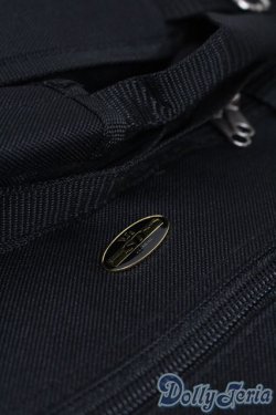 画像2: SD/ドルフィー用キャリングケース S-25-05-18-204-GN-ZS