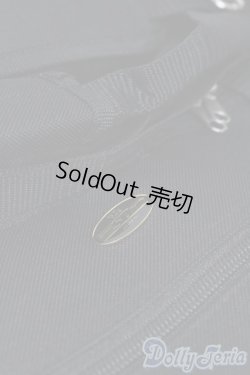 画像2: SD/ドルフィー用キャリングケース S-25-06-22-553-GN-ZS