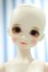 画像1: 【新宿マルイアネックス店 店頭販売商品】LUTS/Kid Delf ARU 2100140000019217-ZM (1)