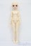 画像4: BunnyBunny/Maple C Doll S-25-06-29-004-GN-ZS