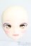 画像1: AIMERAI/Rena Manga Series Head S-25-05-18-206-GN-ZS (1)
