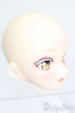 画像3: AIMERAI/Rena Manga Series Head S-25-11-23-570-GN-ZS