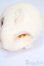 画像6: AIMERAI/Rena Manga Series Head S-25-05-18-206-GN-ZS