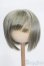 画像1: 8-9inch/ウィッグ S-25-05-18-290-GN-ZS (1)