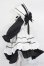 画像2: MDD/OF:衣装セット S-25-05-18-253-GN-ZS (2)