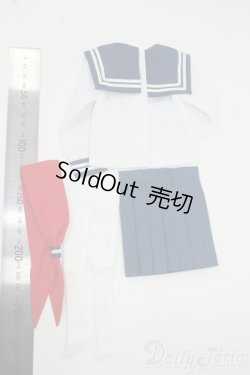 画像2: SDM＆MSD/OF:衣装セット Y-25-12-17-231-GN-ZY