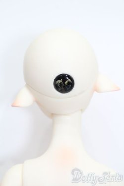 画像6: Doll chateau/Ryan S-25-11-02-494-GN-ZS