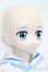 画像5: azone/1/3ハイブリッドアクティブフィギュアNo.052『Project NIPAKO』ニパ子(セリーヌ・P・ニッパーヌ) S-25-05-18-203-GN-ZS