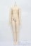 画像1: RINGDOLL/60cm級ボディ S-25-05-25-001-GN-ZS (1)