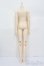 画像2: RINGDOLL/60cm級ボディ S-25-05-25-001-GN-ZS (2)
