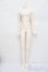 画像1: RSDOLL/New EVAN White Cat ver. Limited body S-25-05-25-002-GN-ZS (1)