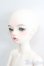 画像2: Huajing Doll(画境人形社)/安迪 S-25-05-25-010-GN-ZS (2)