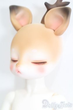 画像2: PIPOS/Deer Rudy S-25-05-25-012-GN-ZS