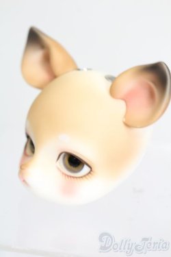 画像8: PIPOS/Deer Rudy S-25-10-05-431-GN-ZS