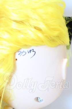 画像8: ネオブライス/みついろ様カスタムブライス S-26-02-15-001-GN-ZS