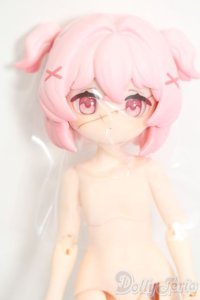 自由主張スタジオ/WELCOME GIRLS：デジタルペットの仮想世界 S-25-06-01-212-GN-ZS
