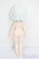 画像5: 不可食用人形/月飛び時間 シークレット　攬星 S-25-06-01-252-GN-ZS