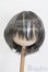 画像1: 8-9inch/ウィッグ S-25-06-29-182-GN-ZS (1)