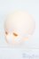画像2: IMOMODOLL/1/4corvusヘッド S-25-06-08-118-GN-ZS (2)