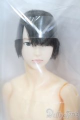 petworks/六分の一男子図鑑ナイン ae [KABA] S-25-06-08-104-GN-ZS