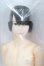 画像1: petworks/六分の一男子図鑑ナイン ae [KABA] S-25-06-08-104-GN-ZS (1)