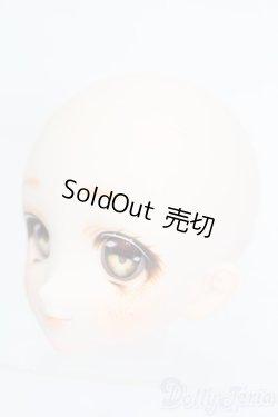 画像2: DDH-06/カスタムヘッド S-25-11-02-508-GN-ZS