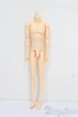 六分の一男子図鑑/ナインボディ S-25-06-08-144-GN-ZS