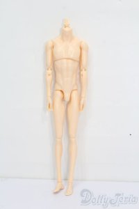六分の一男子図鑑/ナインボディ S-25-06-08-144-GN-ZS