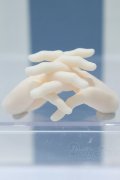 【新宿マルイアネックス店 店頭販売商品】DD/メンズハンドパーツ 2100140000020492-ZM