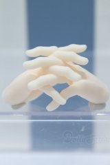 【新宿マルイアネックス店 店頭販売商品】DD/メンズハンドパーツ 2100140000020492-ZM