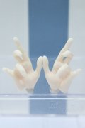 【新宿マルイアネックス店 店頭販売商品】DD/メンズハンドパーツ 2100140000020494-ZM