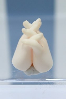 画像1: 【新宿マルイアネックス店 店頭販売商品】MDD/ハンドパーツ 2100140000020505-ZM