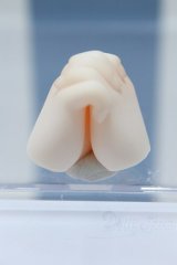 【新宿マルイアネックス店 店頭販売商品】MDD/ハンドパーツ 2100140000020509-ZM