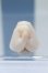 画像2: 【新宿マルイアネックス店 店頭販売商品】MDD/ハンドパーツ 2100140000020509-ZM (2)