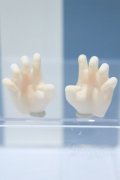 【新宿マルイアネックス店 店頭販売商品】DD/ハンドパーツ 2100140000020524-ZM