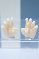 【新宿マルイアネックス店 店頭販売商品】DD/ハンドパーツ 2100140000020524-ZM