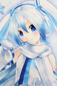 DD/雪ミク S-25-06-08-101-GN-ZS