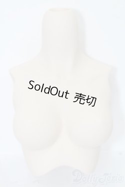 画像1: DDS/上半身パーツ S-25-06-15-021-GN-ZS