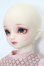 画像3: SDM女の子/コーディネートモデルF-62 S-25-06-29-003-GN-ZS
