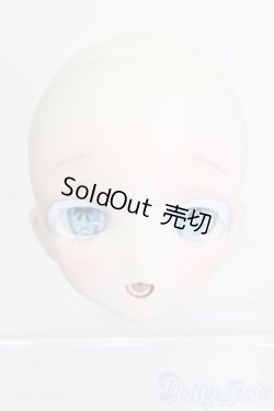 画像1: DD/DDH-10 MITAN様カスタムヘッド S-25-12-21-384-GN-ZS